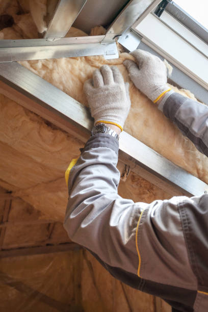 Best Insulation for Specific Applications in Pikesville, MD