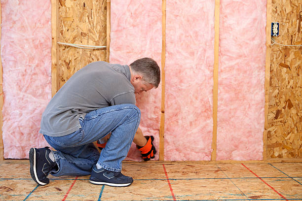 Best Energy Efficiency Solutions in Pikesville, MD
